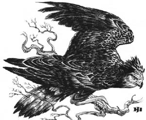Fichier:Critter Merlin Hawk.jpg