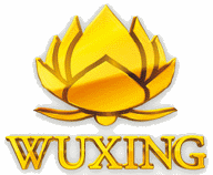 Logo Wuxing Incorporated